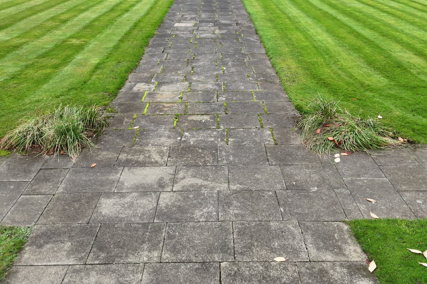 A slab path with weeds growing through the joints and heavy surface staining