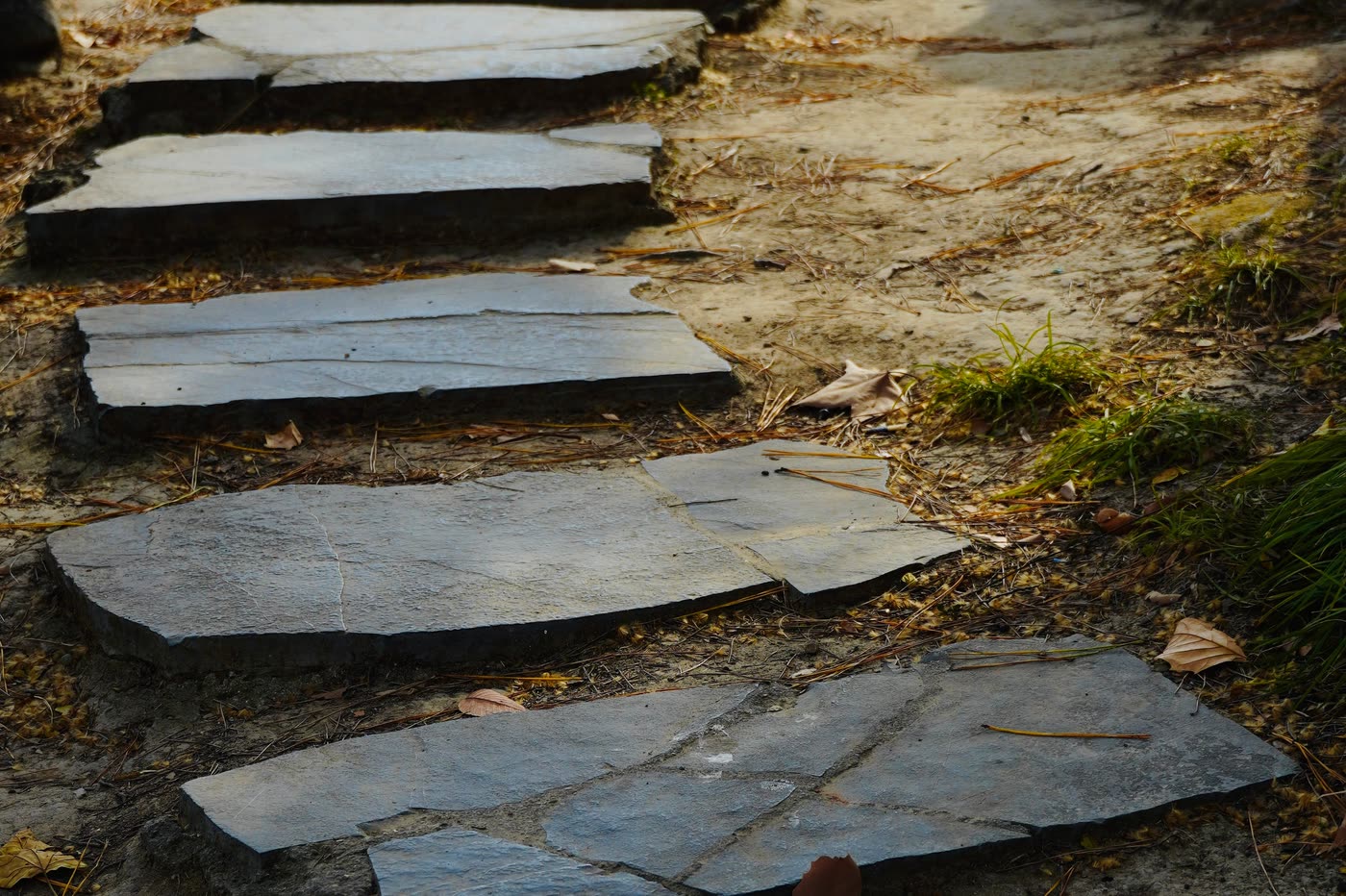 Riven stone flags set as stepping stones through a gravel and grass margin